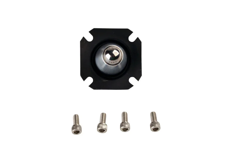 fassmotorsports113660206