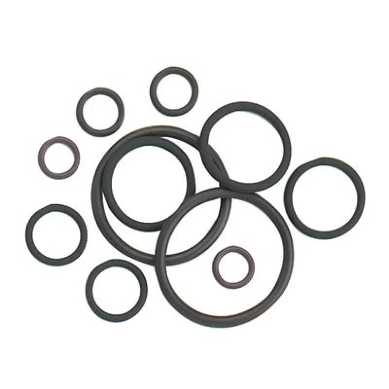 fassmotorsports123604778