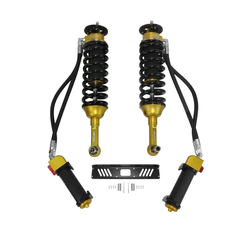 fasthemis23672490