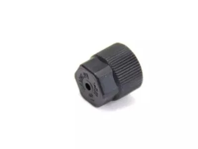 moparpartsgiant12-4415491