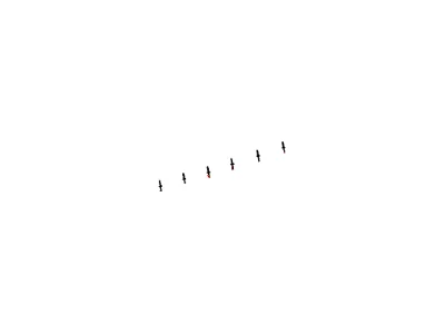 moparpartsgiant7-4149136
